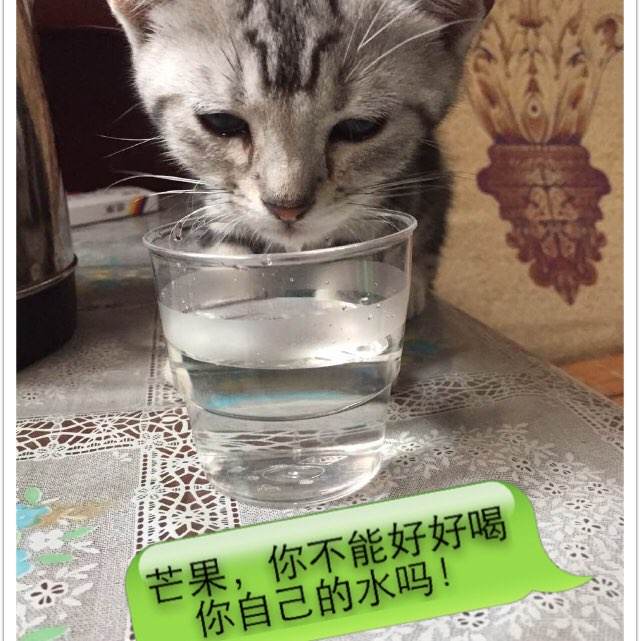 怎么买乔治梅森大学文凭毕业证